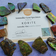 Load image into Gallery viewer, Ammolite "G"