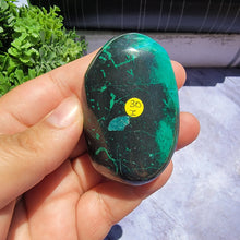 Load image into Gallery viewer, Chrysocolla Palm Stone "I"