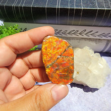 Load image into Gallery viewer, Ammolite "B"