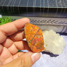 Load image into Gallery viewer, Ammolite "B"