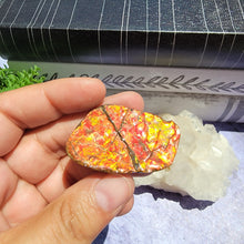 Load image into Gallery viewer, Ammolite "B"