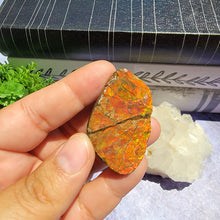 Load image into Gallery viewer, Ammolite "B"