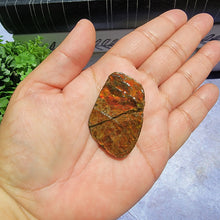 Load image into Gallery viewer, Ammolite "B"