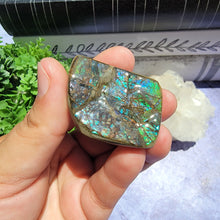 Load image into Gallery viewer, Ammolite "E"