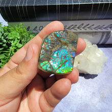 Load image into Gallery viewer, Ammolite "E"