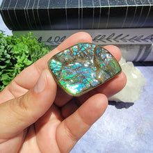 Load image into Gallery viewer, Ammolite "E"