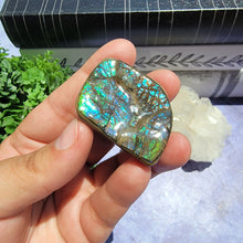 Load image into Gallery viewer, Ammolite "E"