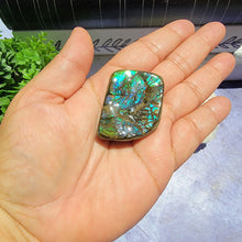 Load image into Gallery viewer, Ammolite "E"