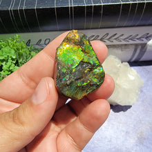 Load image into Gallery viewer, Ammolite "G"