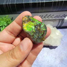 Load image into Gallery viewer, Ammolite "G"