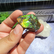 Load image into Gallery viewer, Ammolite "G"