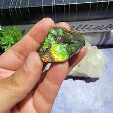 Load image into Gallery viewer, Ammolite "G"