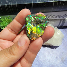 Load image into Gallery viewer, Ammolite "G"