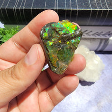 Load image into Gallery viewer, Ammolite "G"