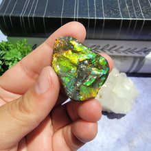 Load image into Gallery viewer, Ammolite "G"