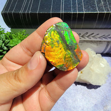 Load image into Gallery viewer, Ammolite "I"