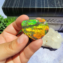 Load image into Gallery viewer, Ammolite "I"