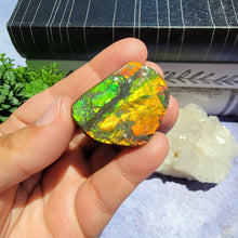 Load image into Gallery viewer, Ammolite "I"