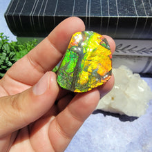 Load image into Gallery viewer, Ammolite "I"