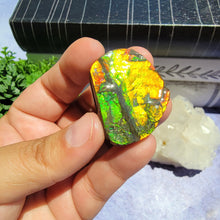 Load image into Gallery viewer, Ammolite "I"