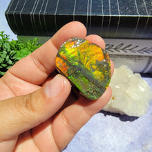 Load image into Gallery viewer, Ammolite "I"