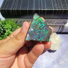 Load image into Gallery viewer, Ammolite "A"