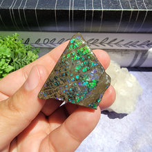 Load image into Gallery viewer, Ammolite "A"