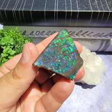 Load image into Gallery viewer, Ammolite "A"