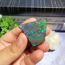 Load image into Gallery viewer, Ammolite "A"