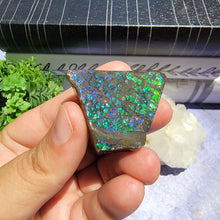 Load image into Gallery viewer, Ammolite "A"