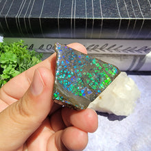 Load image into Gallery viewer, Ammolite "A"