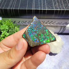 Load image into Gallery viewer, Ammolite "A"