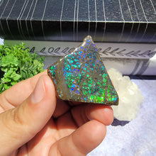Load image into Gallery viewer, Ammolite "A"