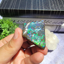 Load image into Gallery viewer, Ammolite "A"