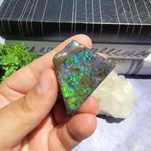 Load image into Gallery viewer, Ammolite "A"