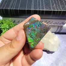 Load image into Gallery viewer, Ammolite "A"