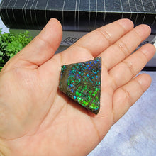 Load image into Gallery viewer, Ammolite "A"