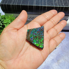 Load image into Gallery viewer, Ammolite "A"