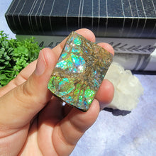 Load image into Gallery viewer, Ammolite "J"