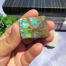 Load image into Gallery viewer, Ammolite "J"