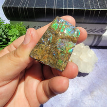 Load image into Gallery viewer, Ammolite "J"