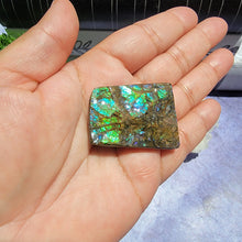 Load image into Gallery viewer, Ammolite "J"