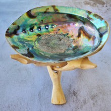 Load image into Gallery viewer, Abalone Shell with Natural Wood Stand