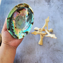 Load image into Gallery viewer, Abalone Shell with Natural Wood Stand