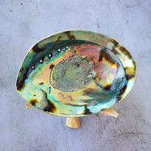 Load image into Gallery viewer, Abalone Shell with Natural Wood Stand
