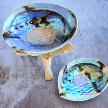 Load image into Gallery viewer, Abalone Shell with Natural Wood Stand