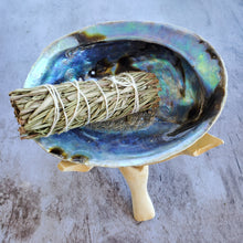 Load image into Gallery viewer, Abalone Shell with Natural Wood Stand