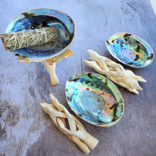 Load image into Gallery viewer, Abalone Shell with Natural Wood Stand