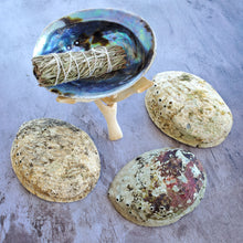 Load image into Gallery viewer, Abalone Shell with Natural Wood Stand