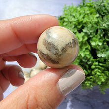 Load image into Gallery viewer, Zebradorite Mini Spheres
